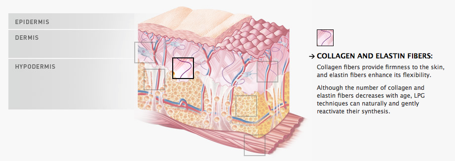 Firm the skin with Endermologie treatment Boost collagen naturally