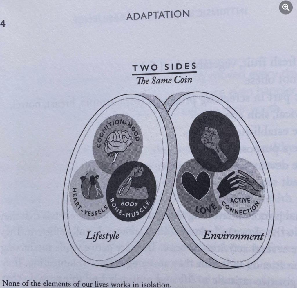 Adaption.